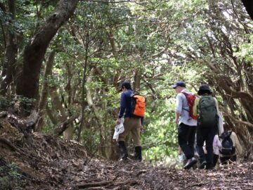 英語版・伊勢志摩国立公園ハイキングマップの作成支援を行いました